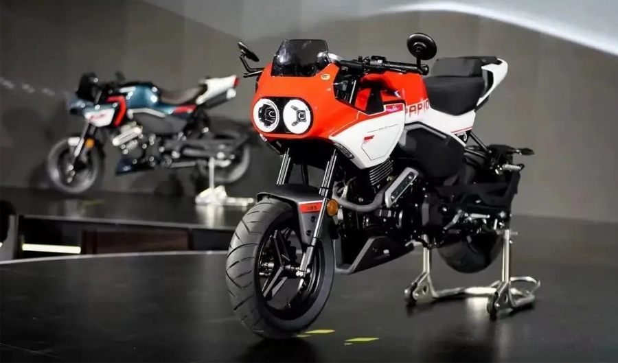 Papio-125-XO-1 Papio-125-XO-1