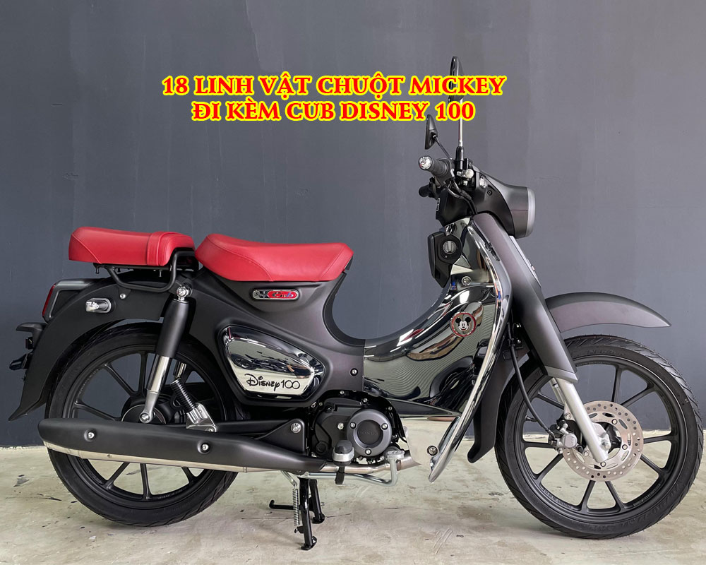 18-LINH-VAT-CHUOT-MICKEY-CUNG-VOI-CUB-DISNEY-100