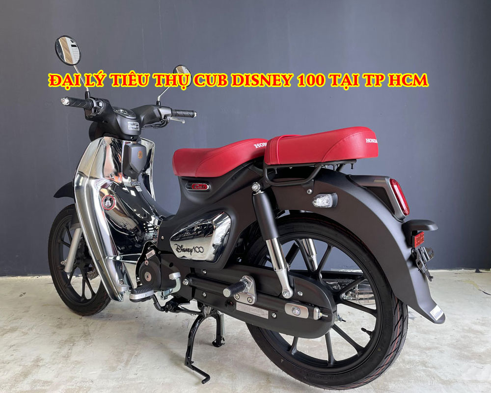 DAI-LY-TIEU-THU-CUB-DISNEY-100-TAI-TP-HCM