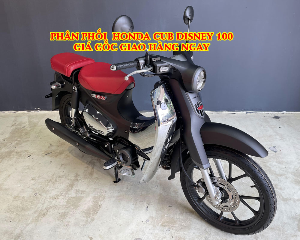 PHAN-PHOI-CUB-DISNEY-100-GIA-GOC-GIAO-HANG-NGAY